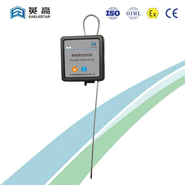 Intelligent Flexible Lock