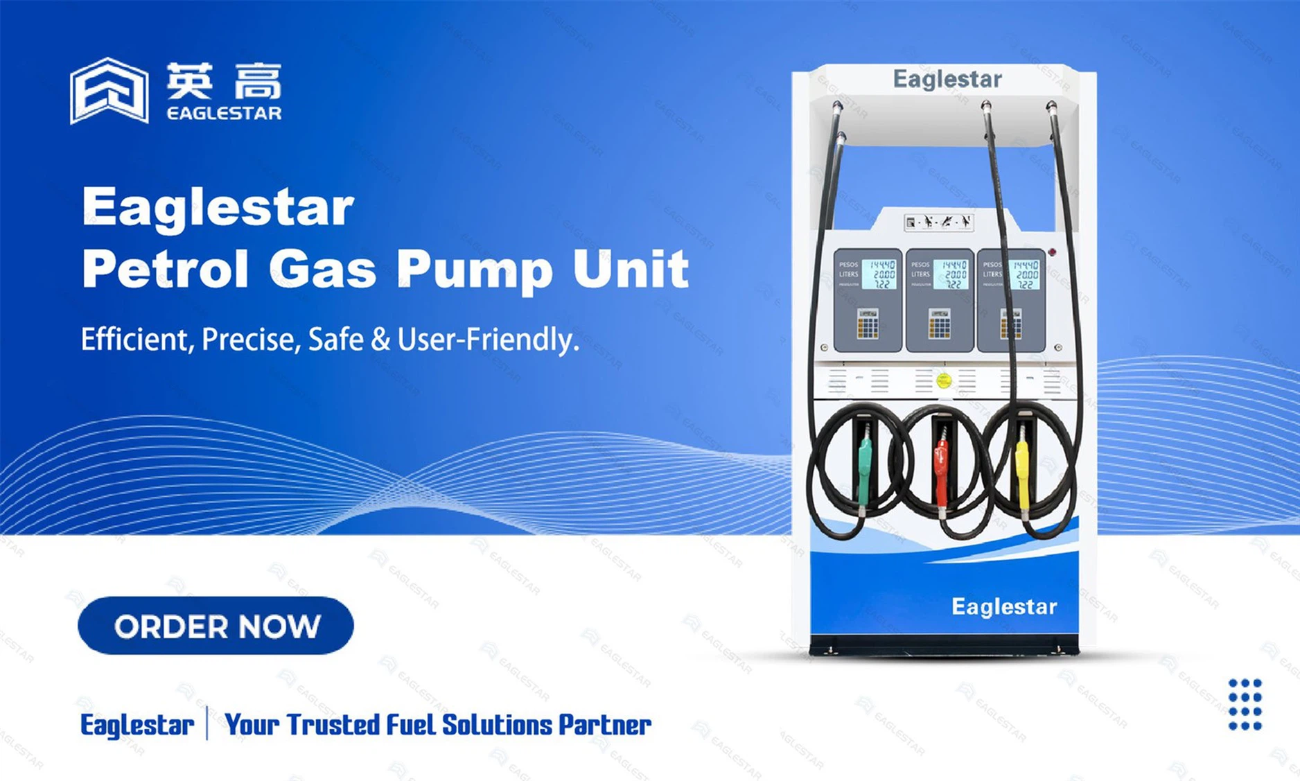 Petrol Gas Pump Unit Petrol Gas Pump Unit