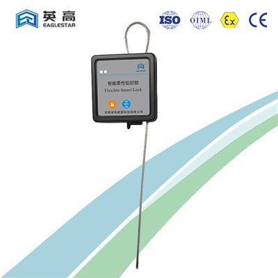 Intelligent Flexible Lock